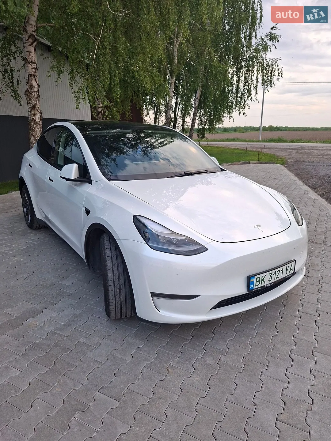 2023 Tesla Model Y - мініатюра 11