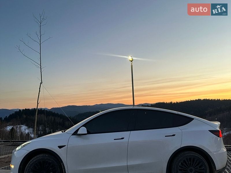 Внедорожник / Кроссовер Tesla Model Y 2020 в Львове