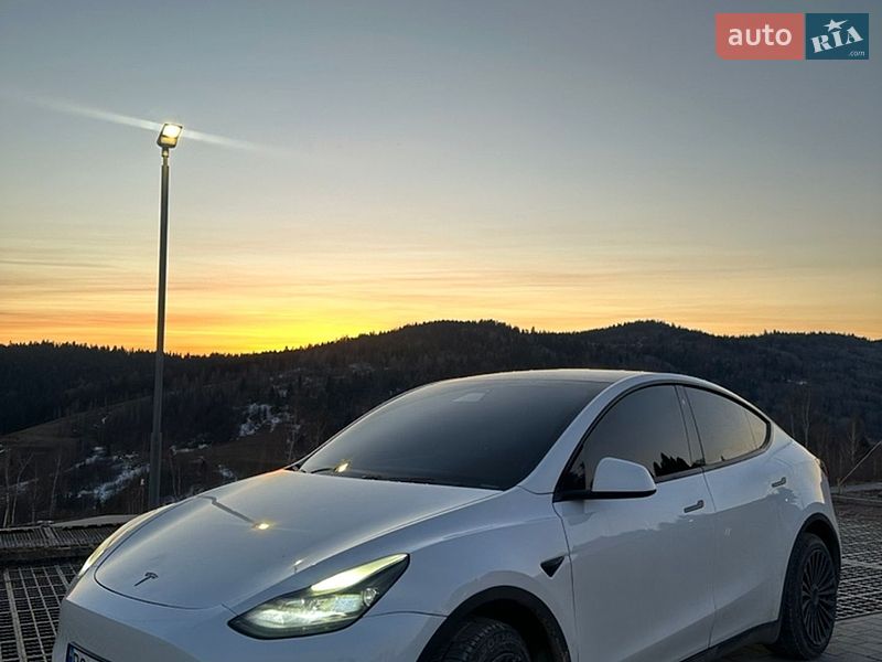 Внедорожник / Кроссовер Tesla Model Y 2020 в Львове
