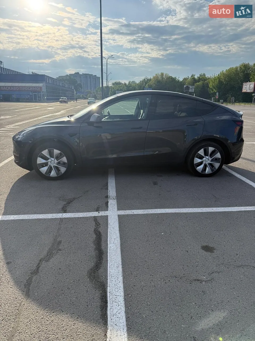 2024 Tesla Model Y - мініатюра 15