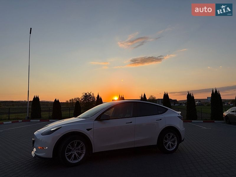 Внедорожник / Кроссовер Tesla Model Y 2021 в Черновцах