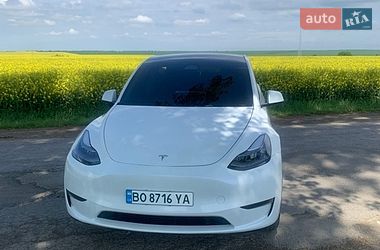 Внедорожник / Кроссовер Tesla Model Y 2024 в Чорткове