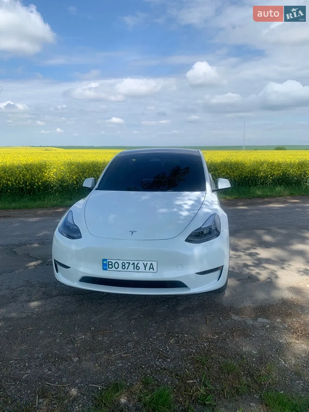 2024 Tesla Model Y - фото 1