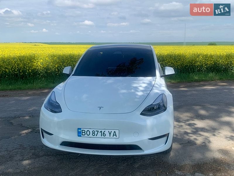 Позашляховик / Кросовер Tesla Model Y 2024 в Чорткові фото Позашляховик / Кросовер Tesla Model Y 2024 в Чорткові