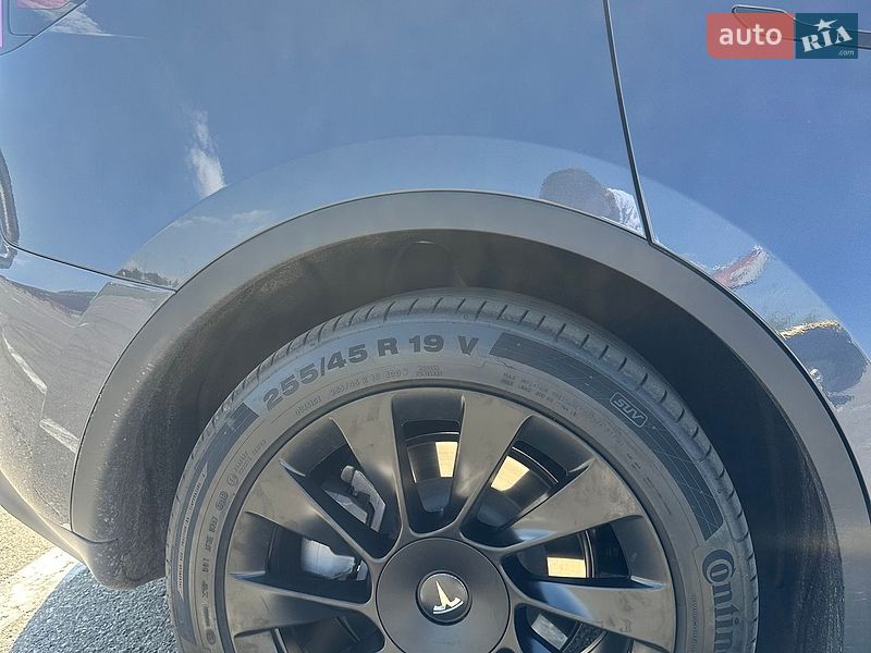 Позашляховик / Кросовер Tesla Model Y 2023 в Києві