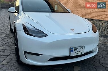 Внедорожник / Кроссовер Tesla Model Y 2023 в Костополе