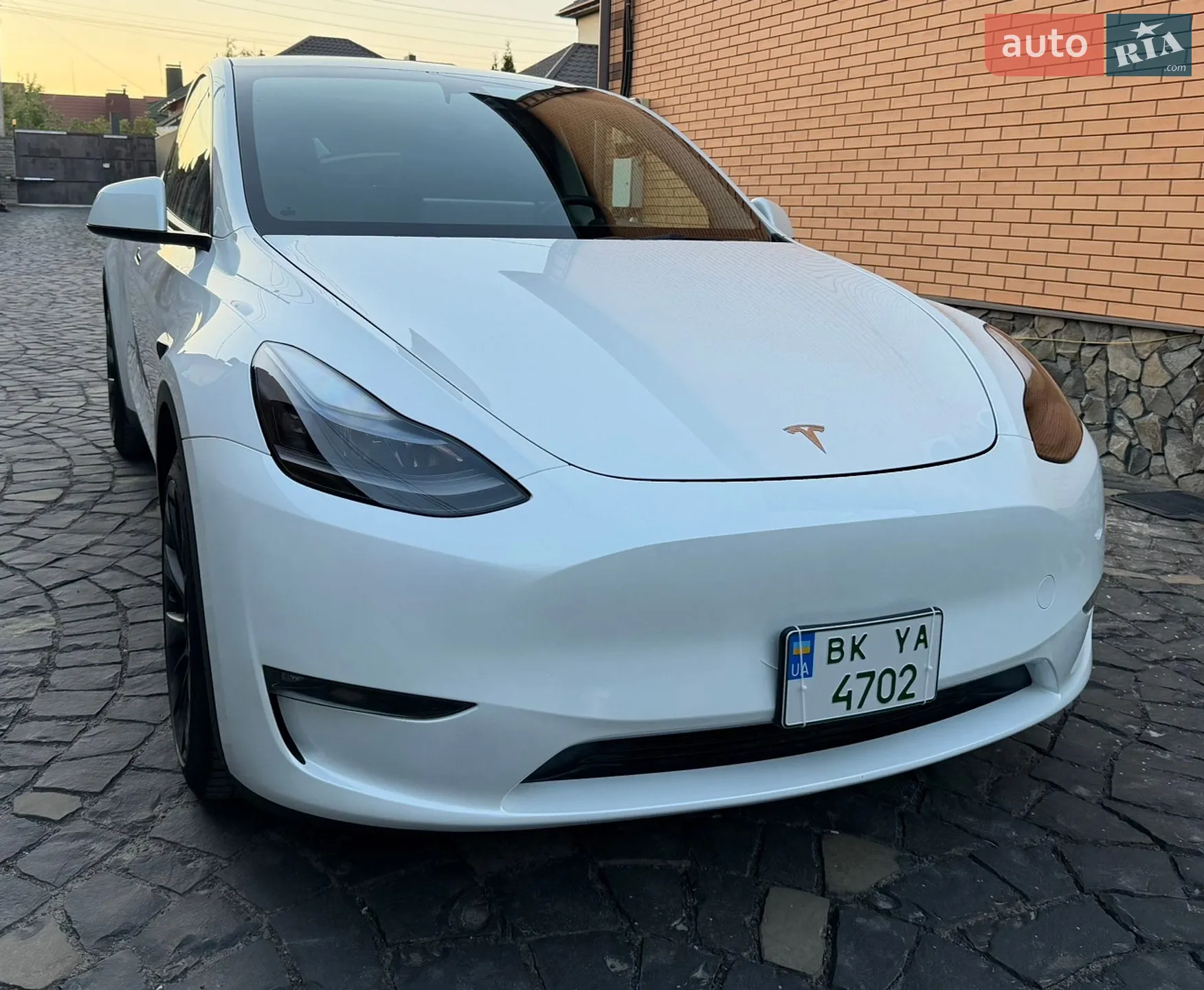 2023 Tesla Model Y - фото 1