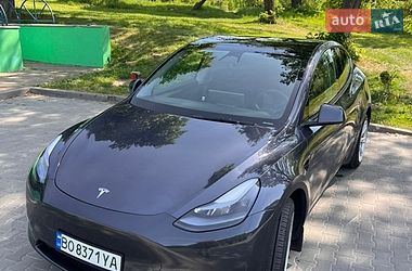 Внедорожник / Кроссовер Tesla Model Y 2023 в Тернополе