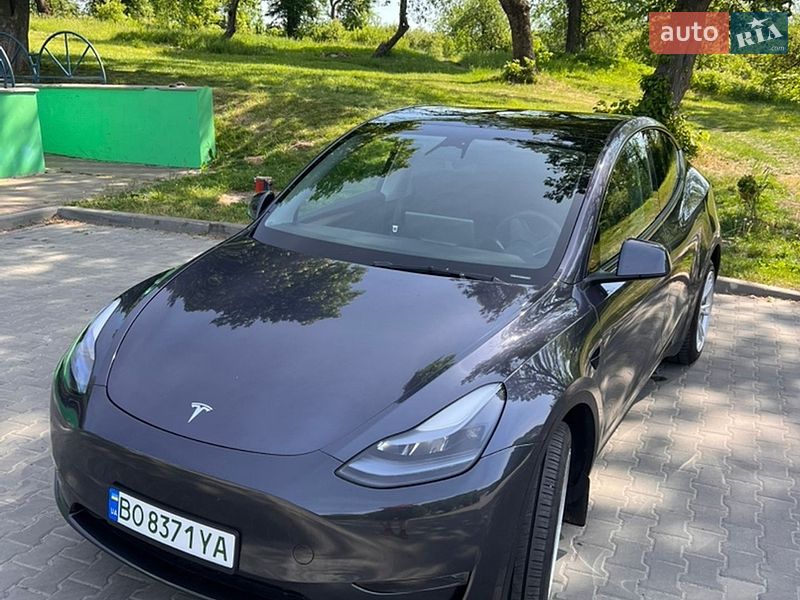 2023 Tesla Model-Y, VIN LRWYGDEE6PC136570:plate — фото 1 (autoria)