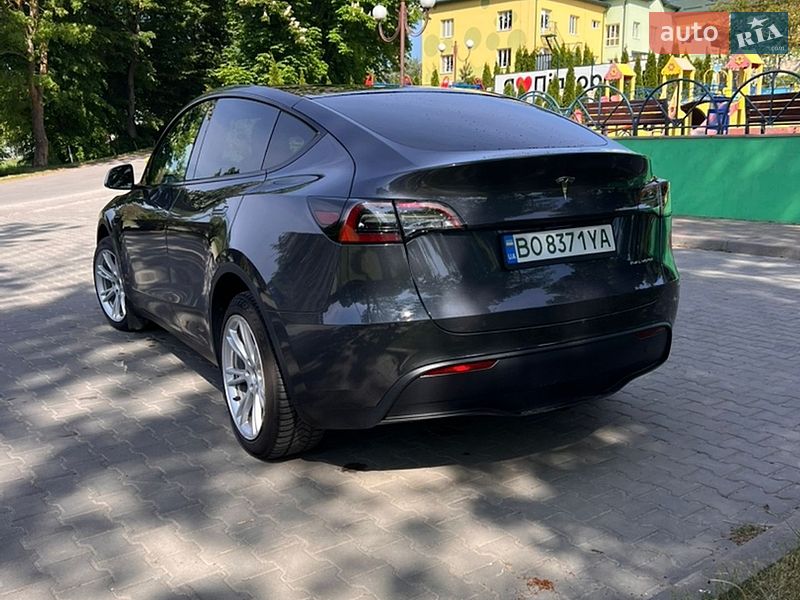 Внедорожник / Кроссовер Tesla Model Y 2023 в Тернополе