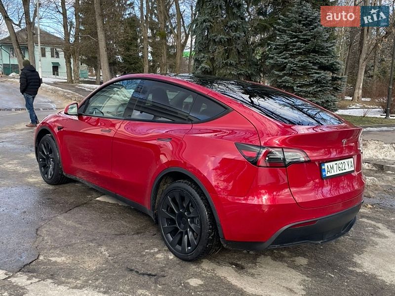 Внедорожник / Кроссовер Tesla Model Y 2023 в Житомире