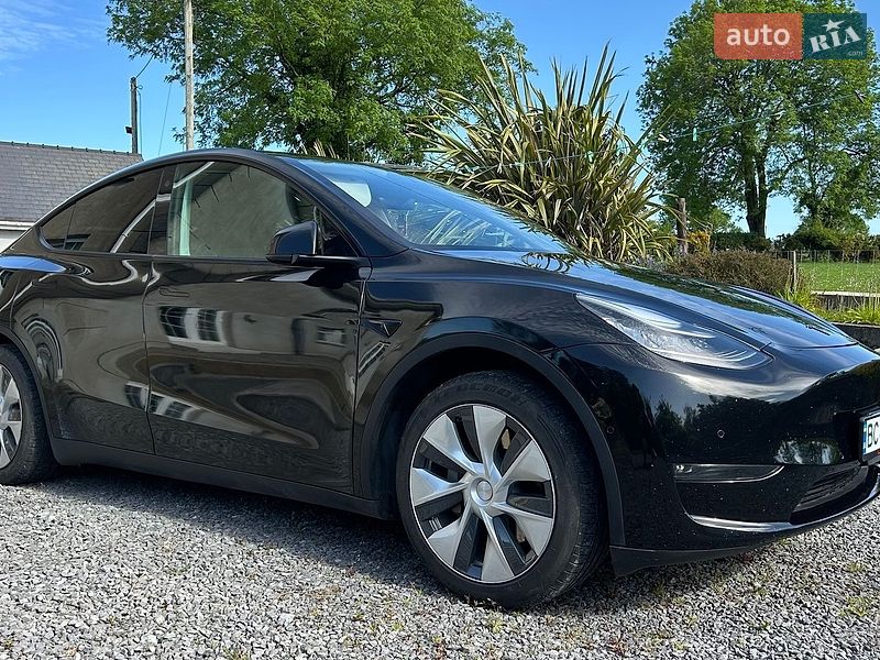 Позашляховик / Кросовер Tesla Model Y 2021 в Умані