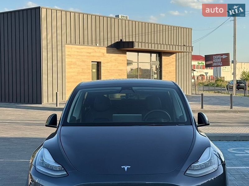 Позашляховик / Кросовер Tesla Model Y 2023 в Луцьку
