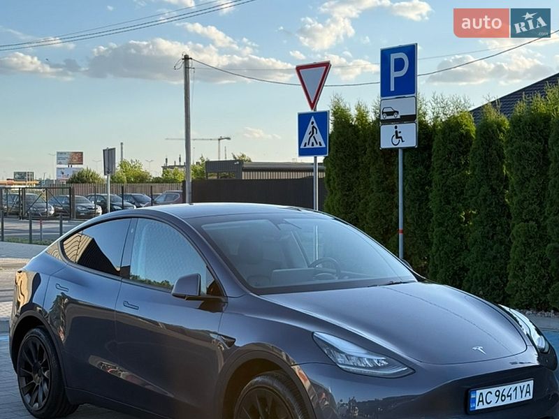 Позашляховик / Кросовер Tesla Model Y 2023 в Луцьку