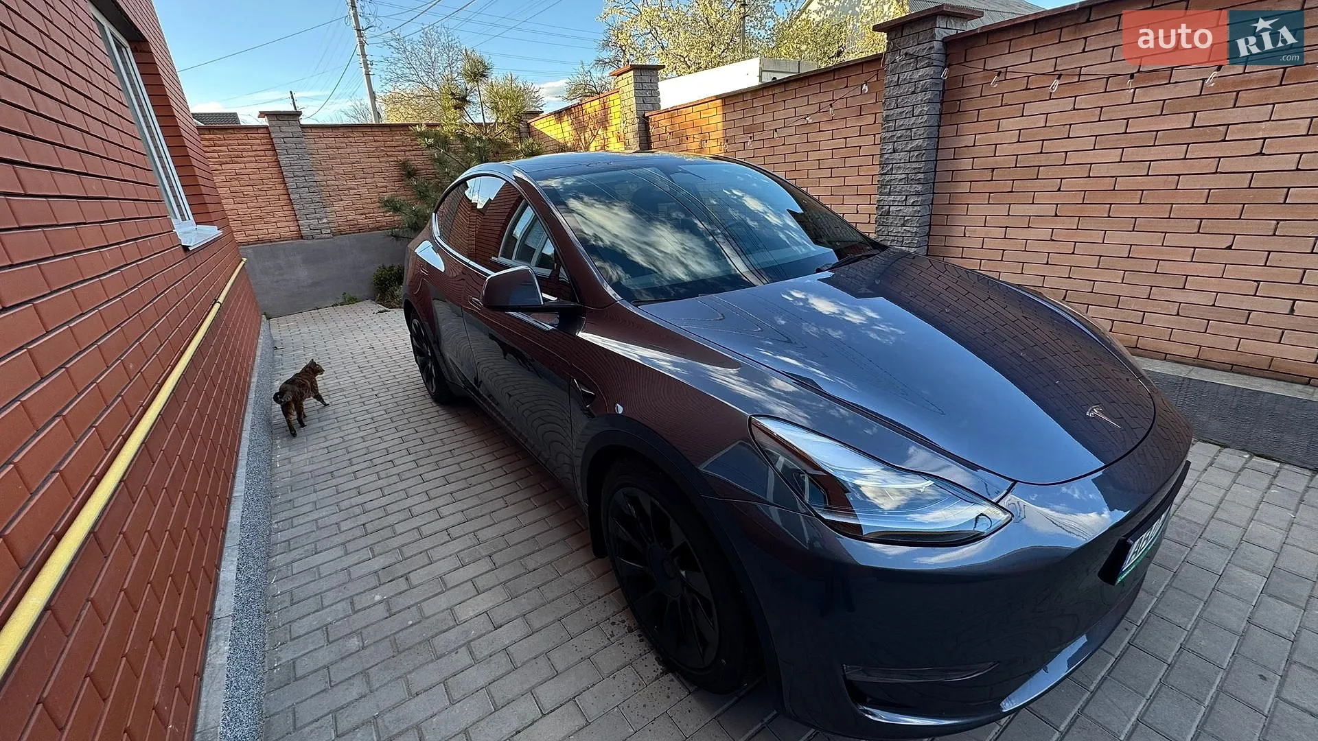 2023 Tesla Model Y - мініатюра 20