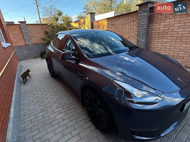 Внедорожник / Кроссовер Tesla Model Y 2023 в Виннице