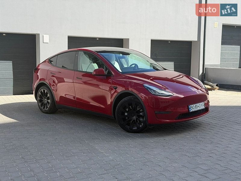 Позашляховик / Кросовер Tesla Model Y 2021 в Тернополі