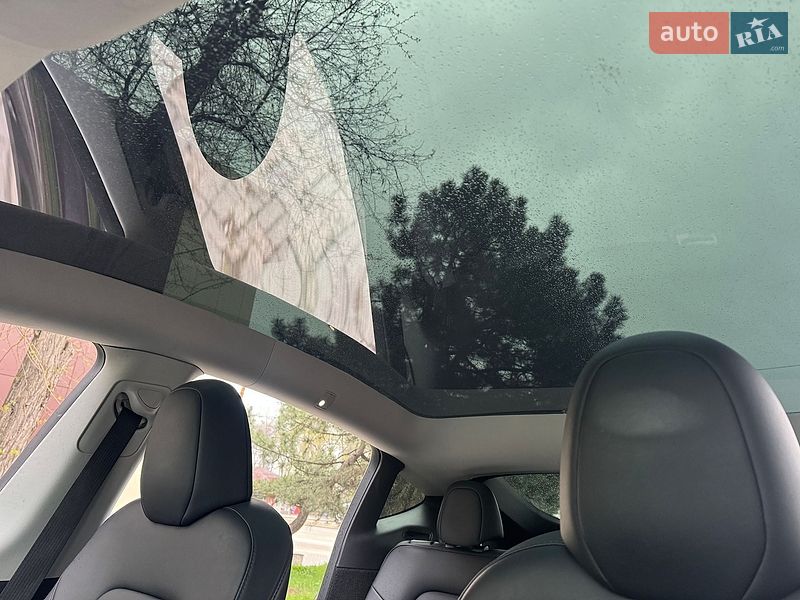 Позашляховик / Кросовер Tesla Model Y 2023 в Дніпрі