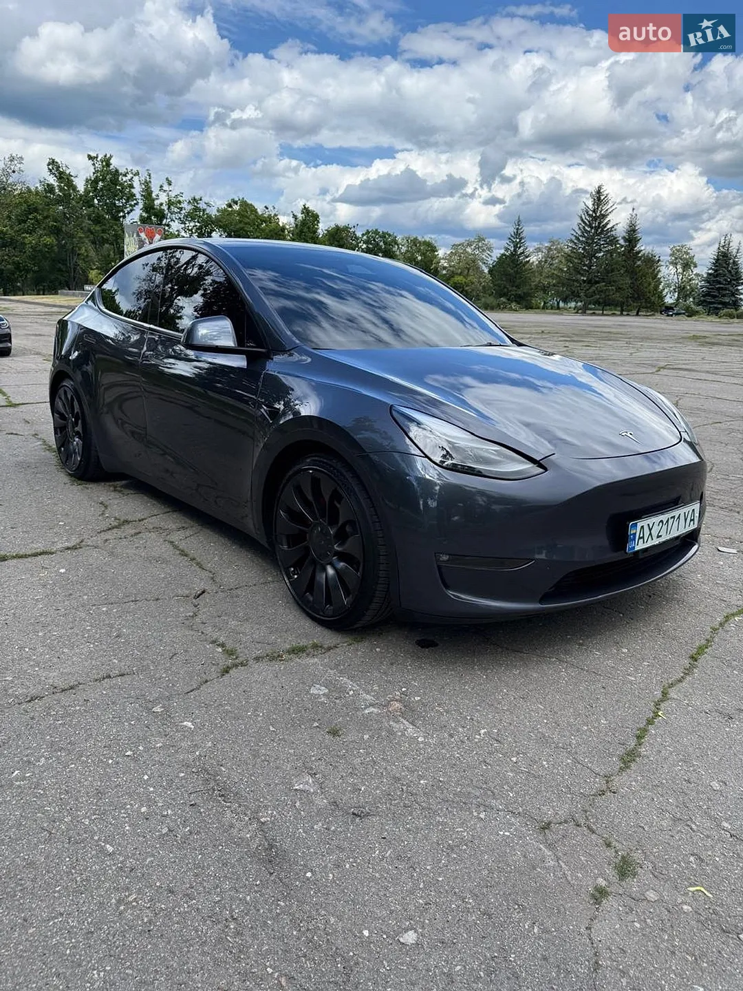 2023 Tesla Model Y - фото 1
