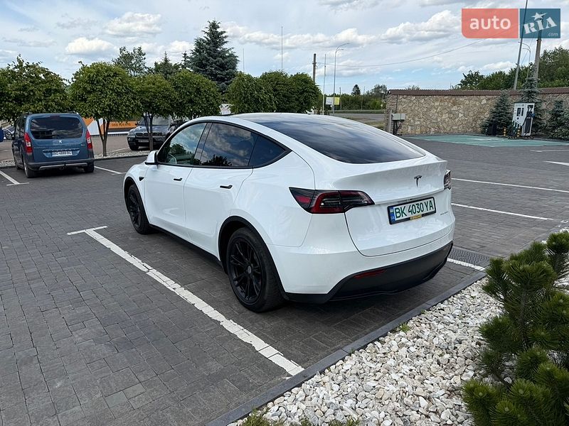 Внедорожник / Кроссовер Tesla Model Y 2023 в Ровно