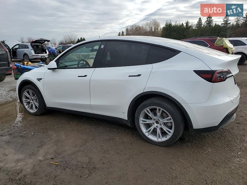 Позашляховик / Кросовер Tesla Model Y 2023 в Кропивницькому