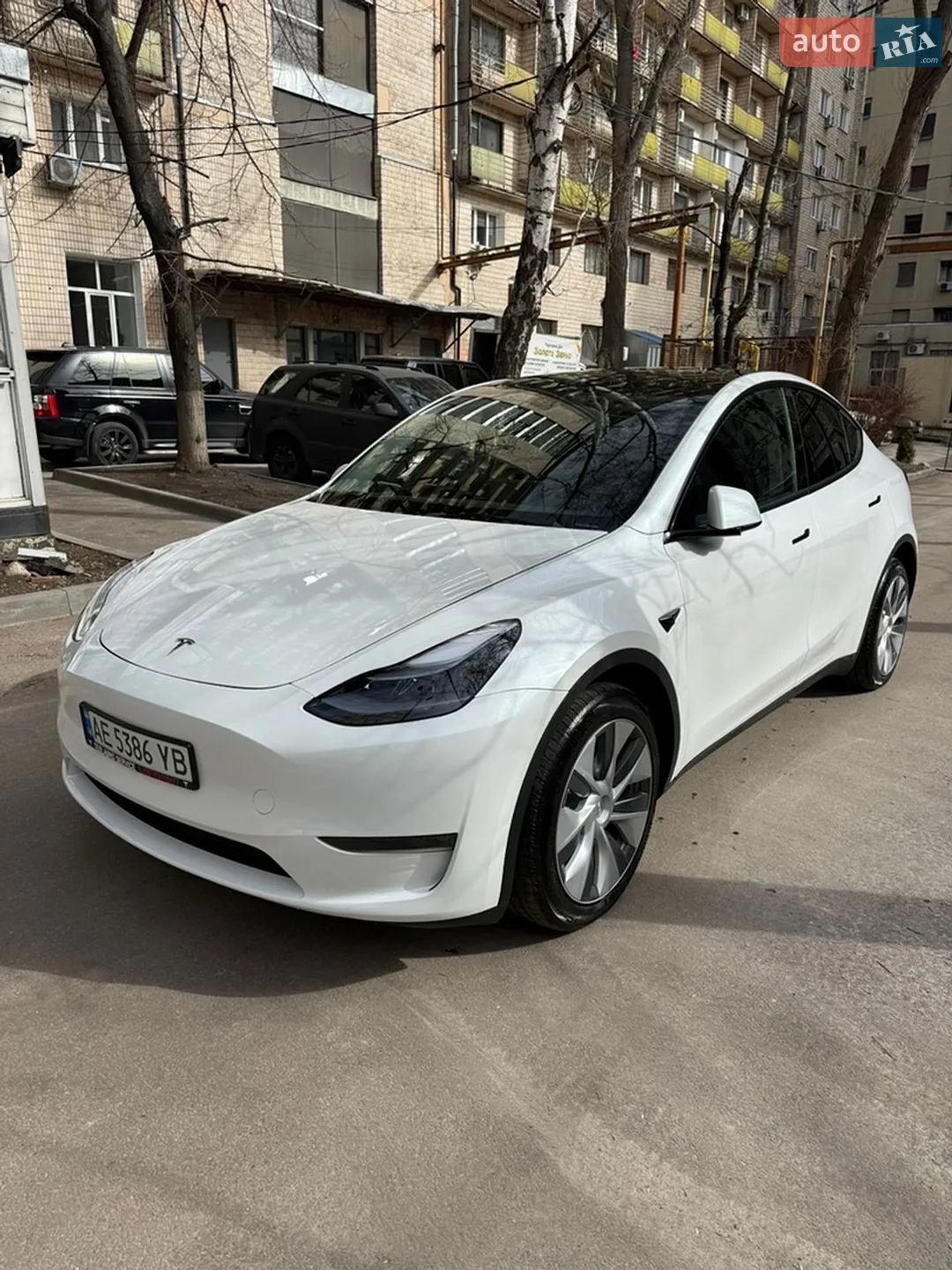 2023 Tesla Model Y - фото 1