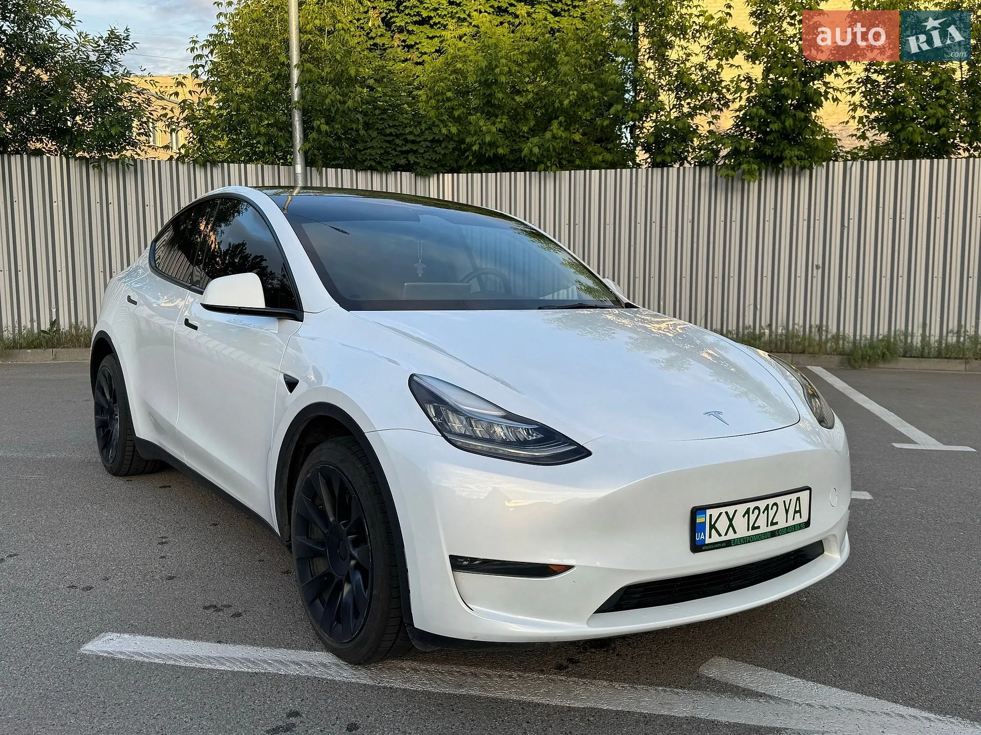 2023 Tesla Model Y - фото 1
