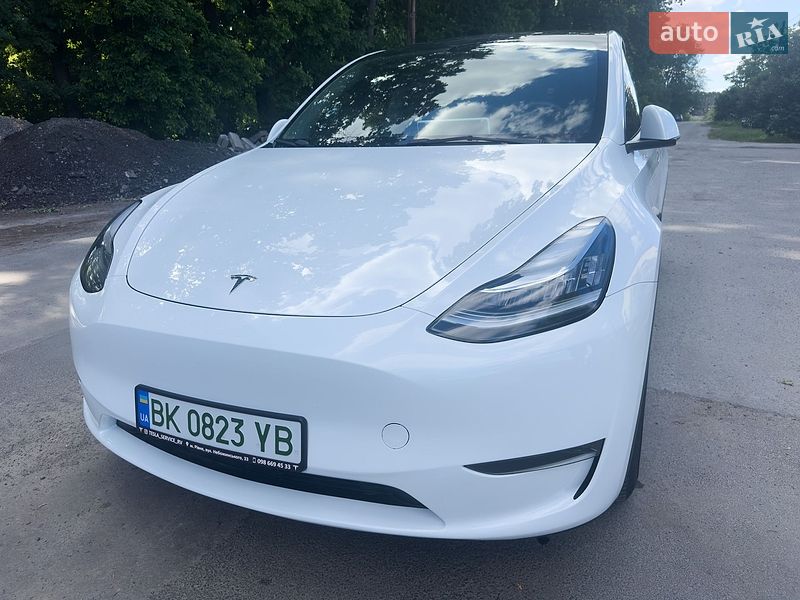 Позашляховик / Кросовер Tesla Model Y 2023 в Звягелі