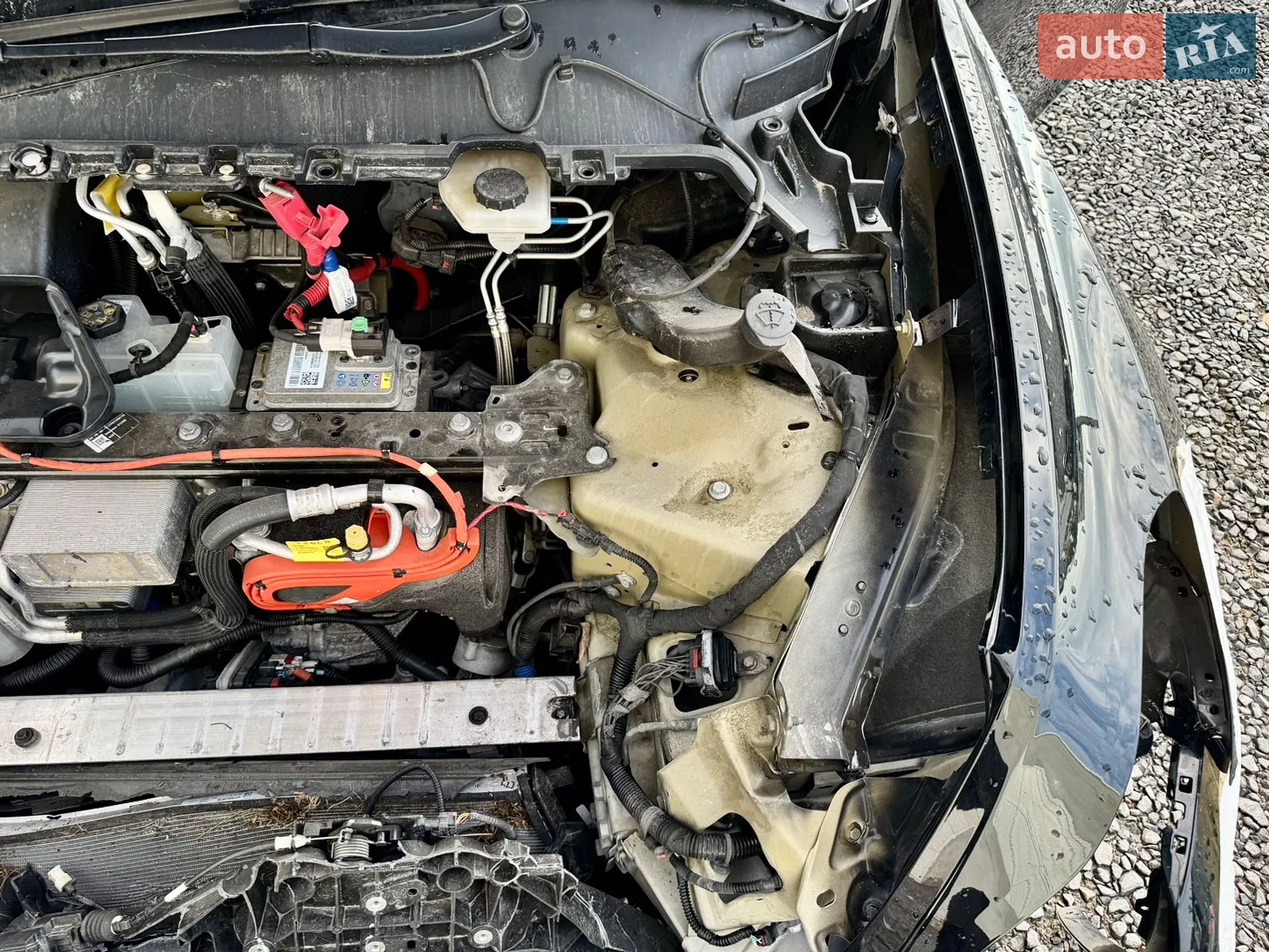 2023 Tesla Model Y - мініатюра 34