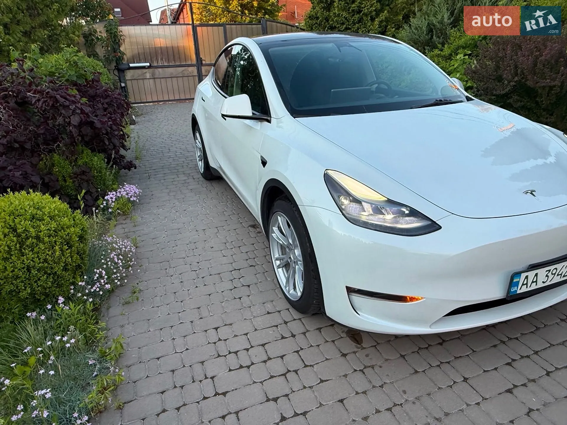 2023 Tesla Model Y - мініатюра 4
