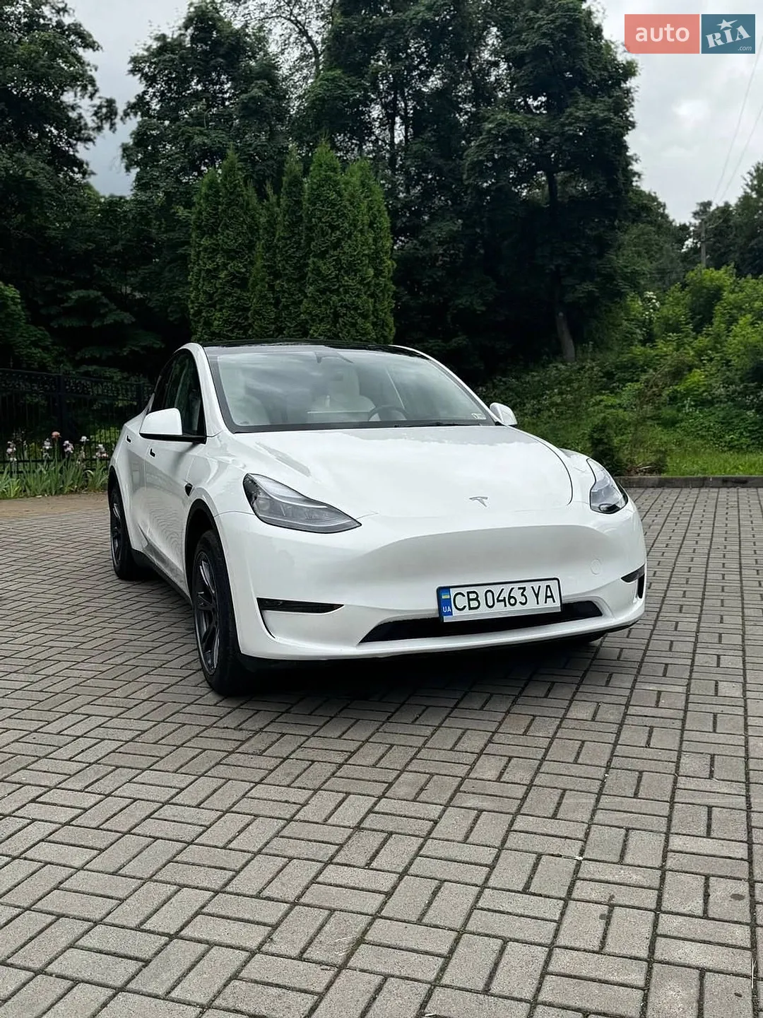 2024 Tesla Model Y - фото 1