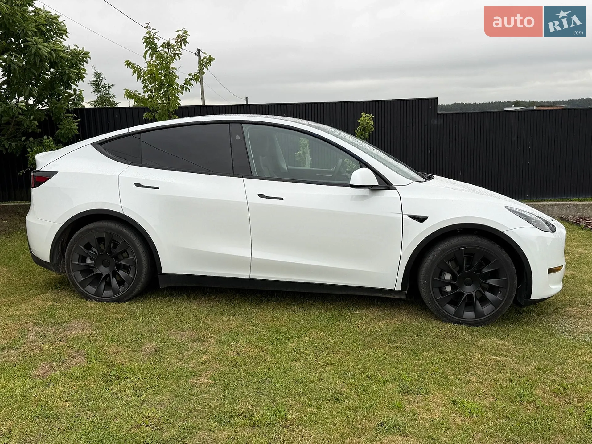 2023 Tesla Model Y - мініатюра 4
