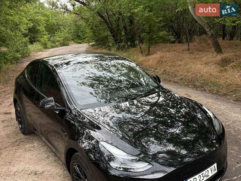 Внедорожник / Кроссовер Tesla Model Y 2024 в Запорожье