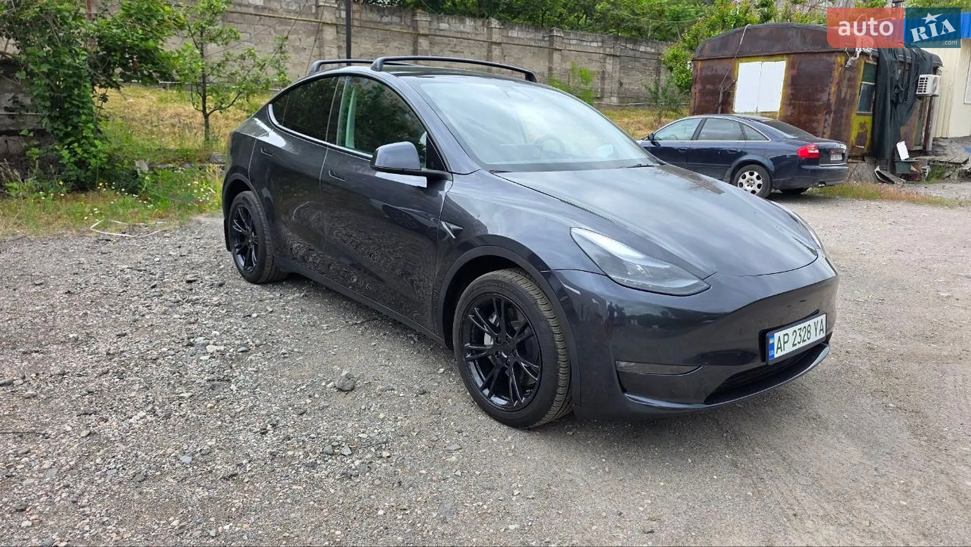 2024 Tesla Model Y - фото 1