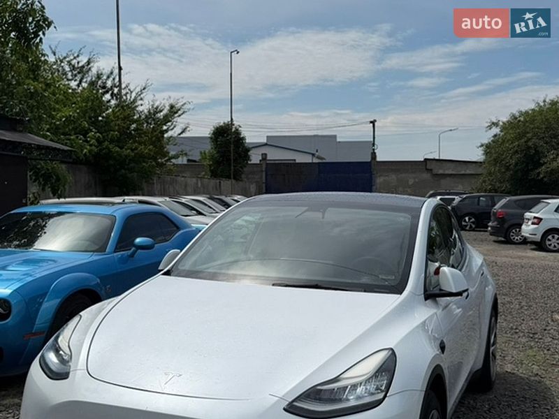 Внедорожник / Кроссовер Tesla Model Y 2021 в Луцке