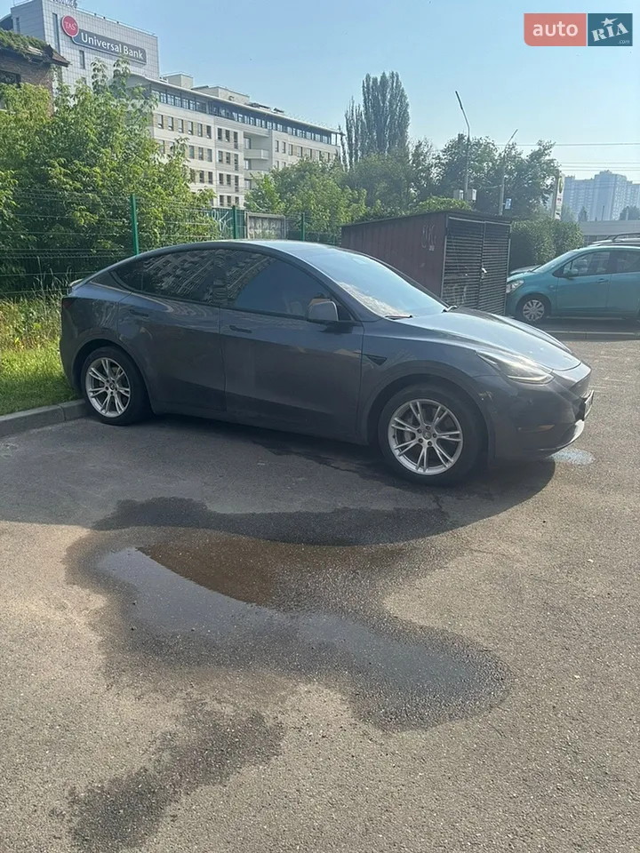 2022 Tesla Model Y - мініатюра 44