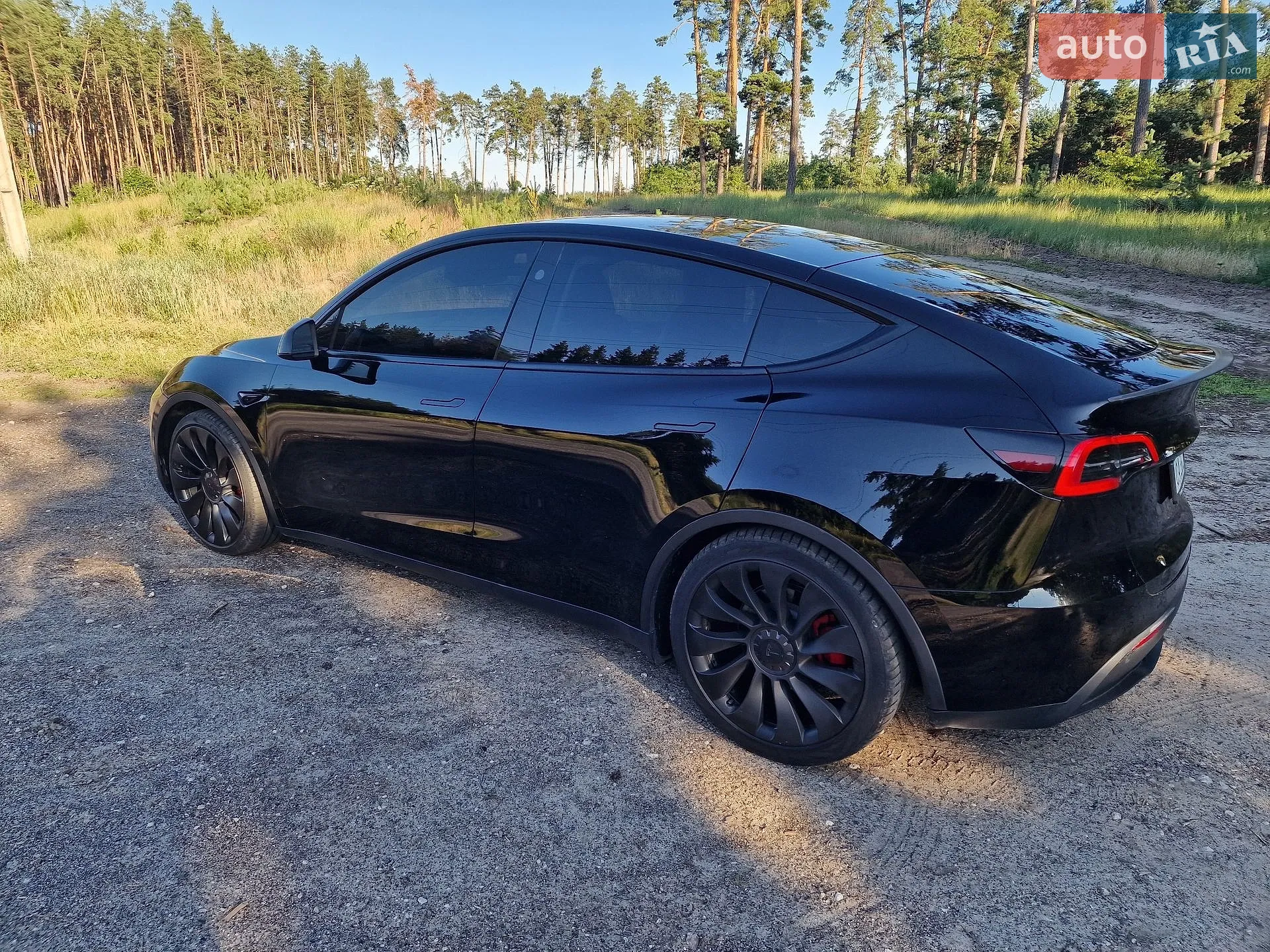 2023 Tesla Model Y - мініатюра 20