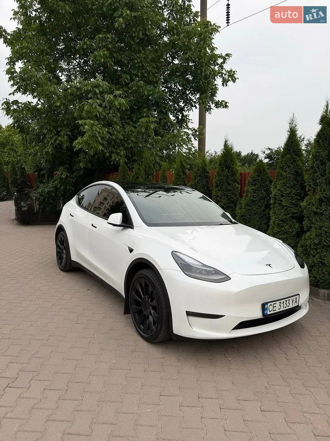 2024 Tesla Model Y - мініатюра 2