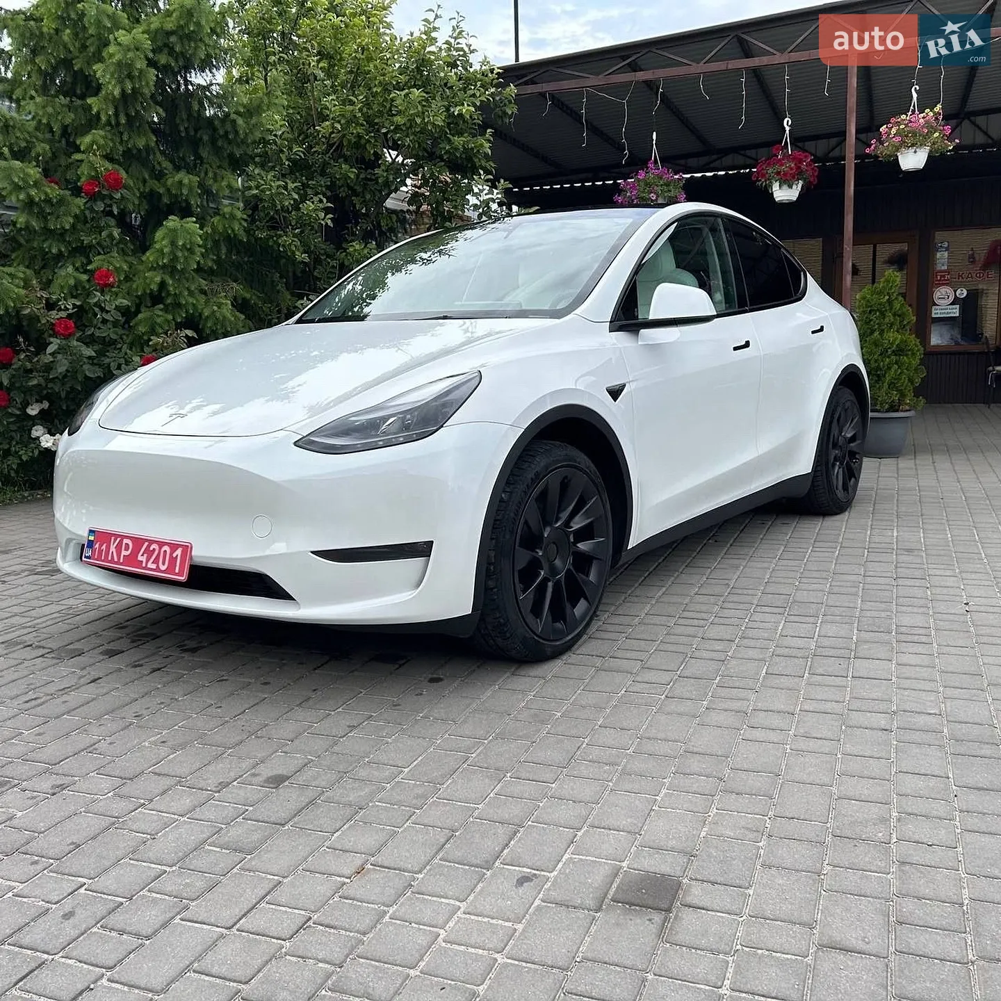 2023 Tesla Model Y - фото 1