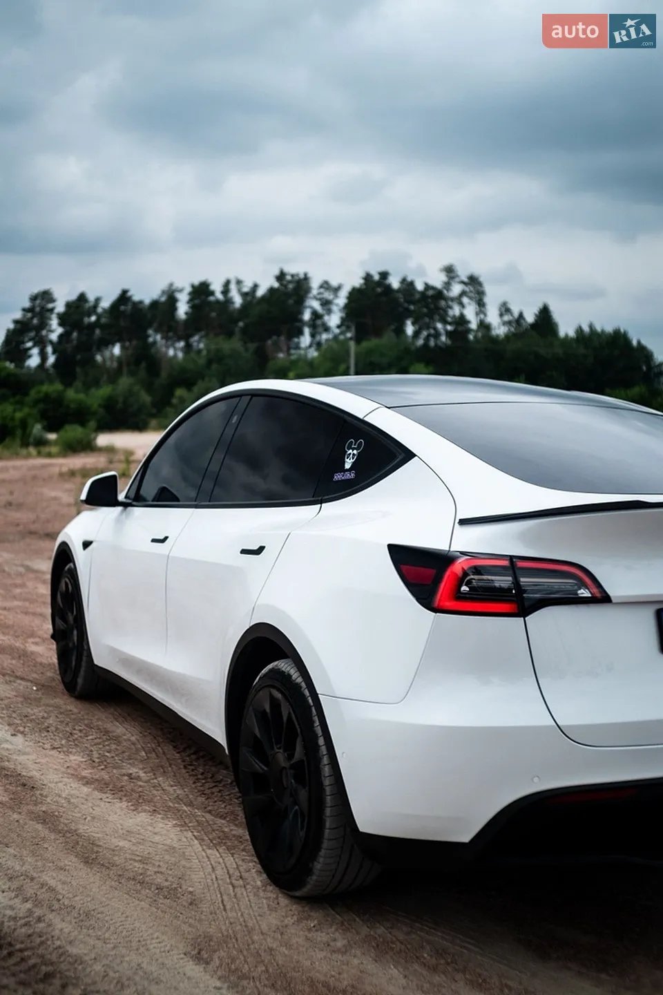 2020 Tesla Model Y - мініатюра 10