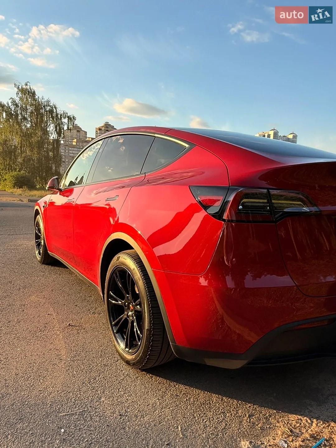2023 Tesla Model Y - мініатюра 12