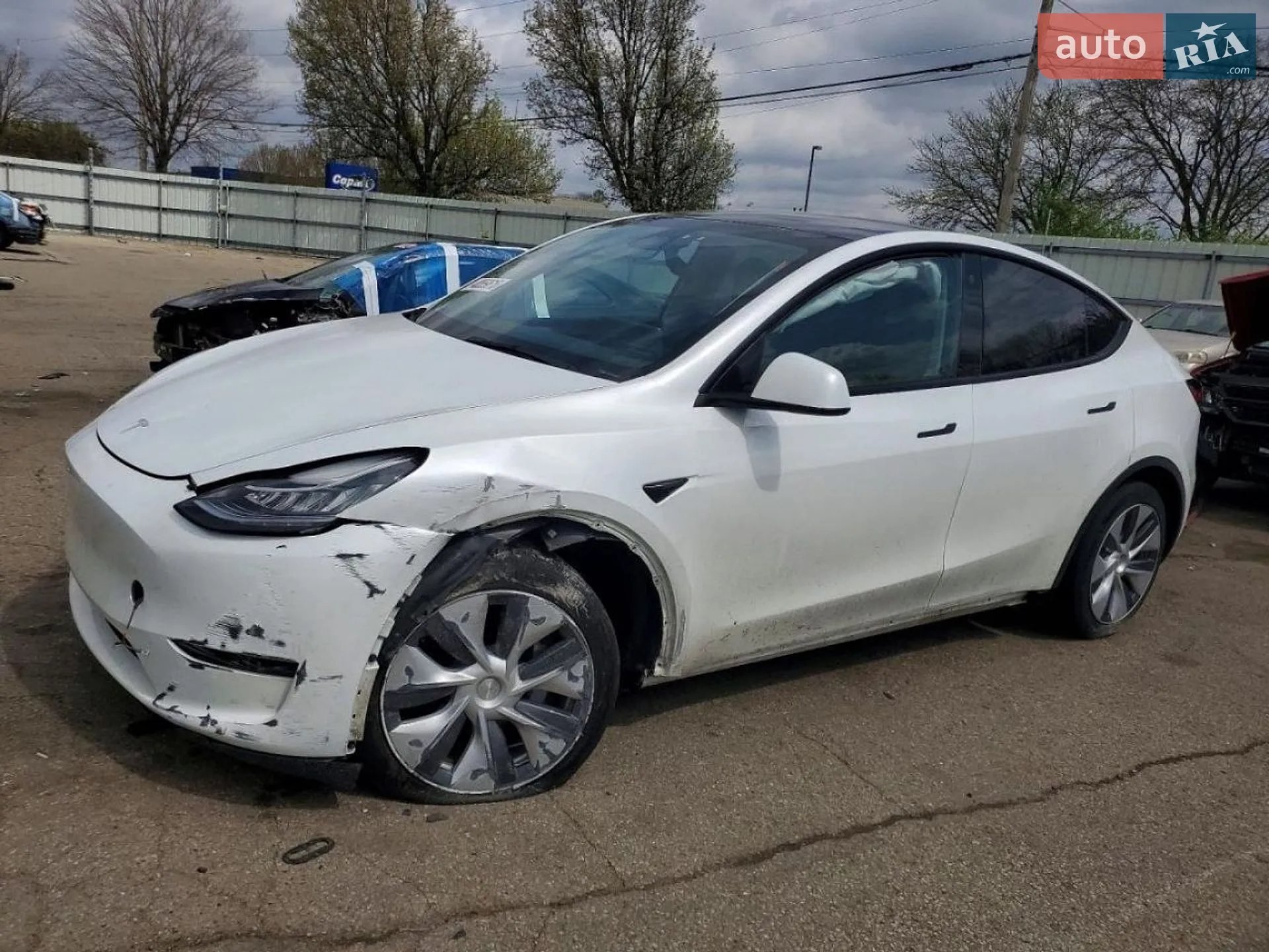 2023 Tesla Model Y - мініатюра 6