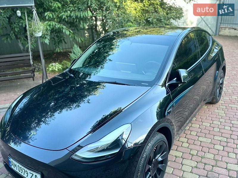 Внедорожник / Кроссовер Tesla Model Y 2022 в Житомире