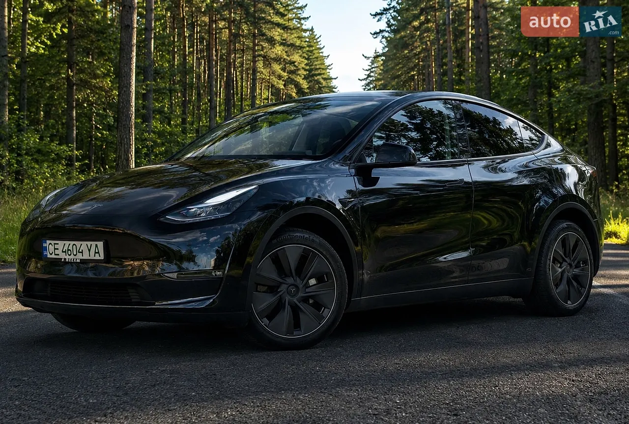 2024 Tesla Model Y - мініатюра 21