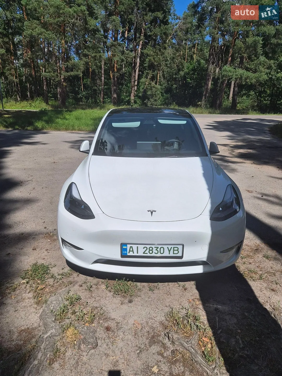 2022 Tesla Model Y - мініатюра 8