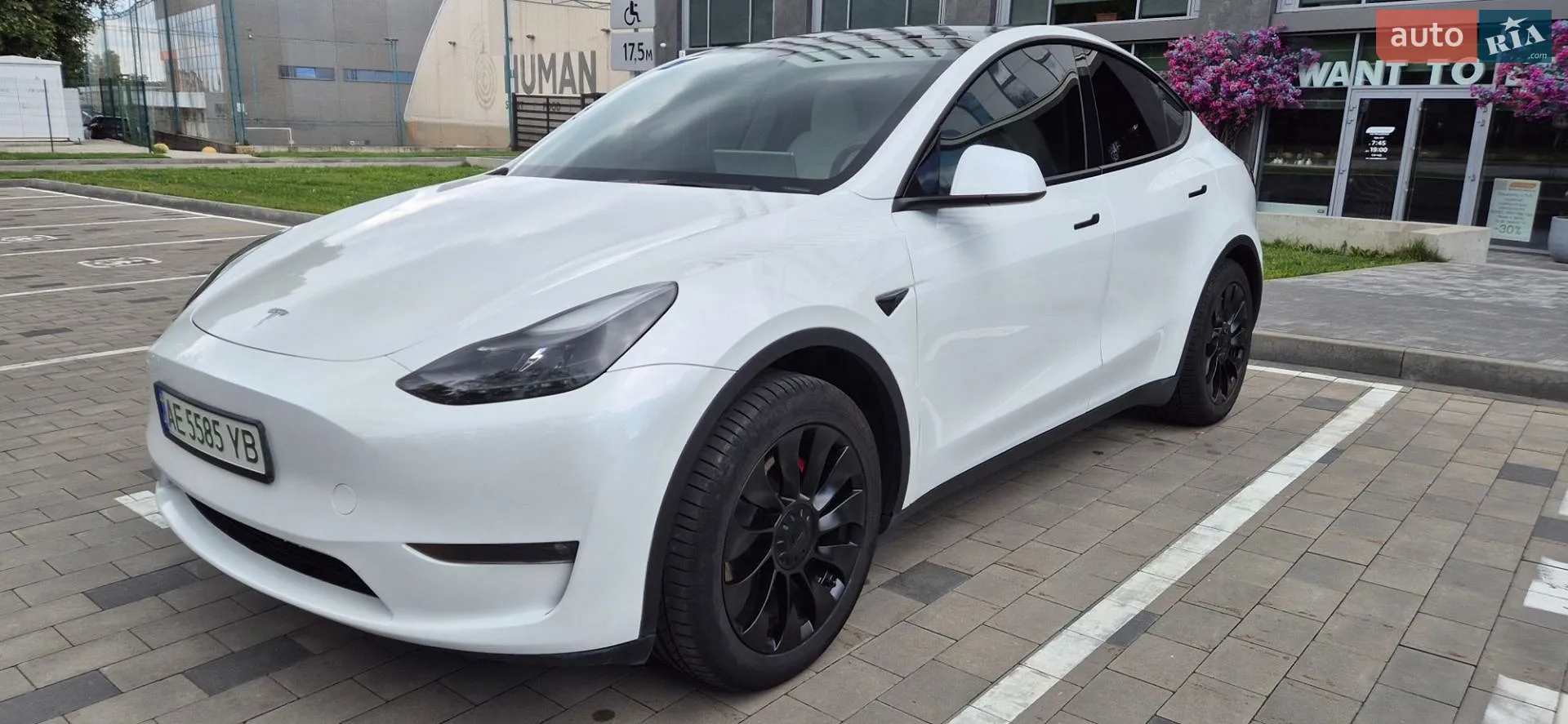 2023 Tesla Model Y - фото 1