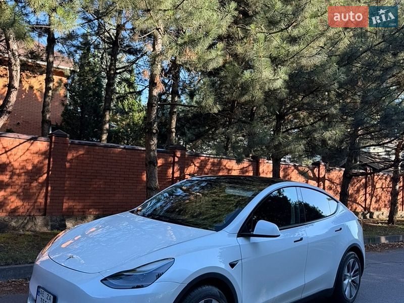 Внедорожник / Кроссовер Tesla Model Y 2023 в Днепре
