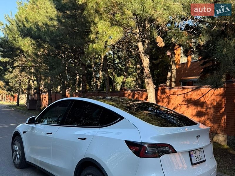 Позашляховик / Кросовер Tesla Model Y 2023 в Дніпрі