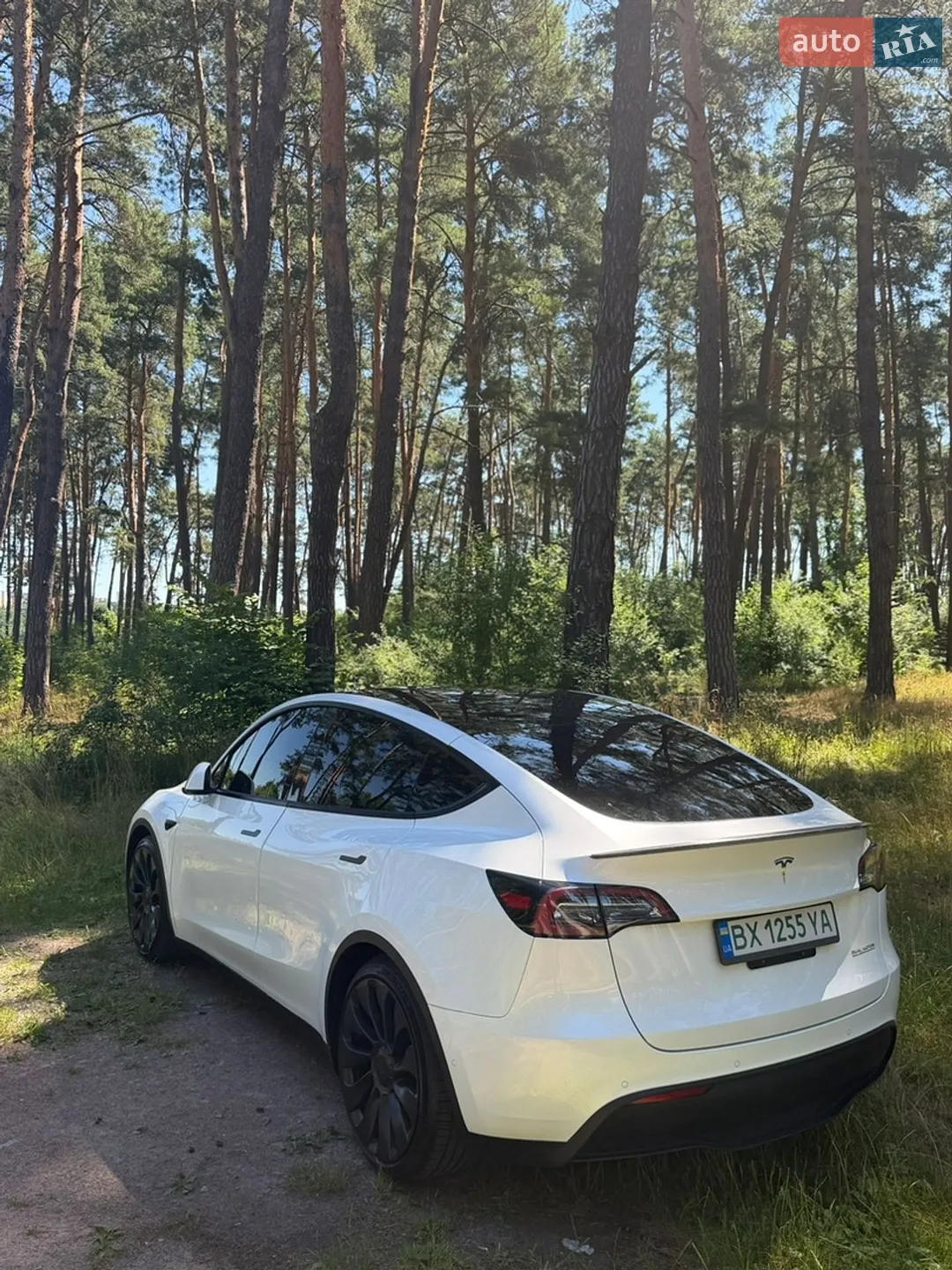 2022 Tesla Model Y - мініатюра 5