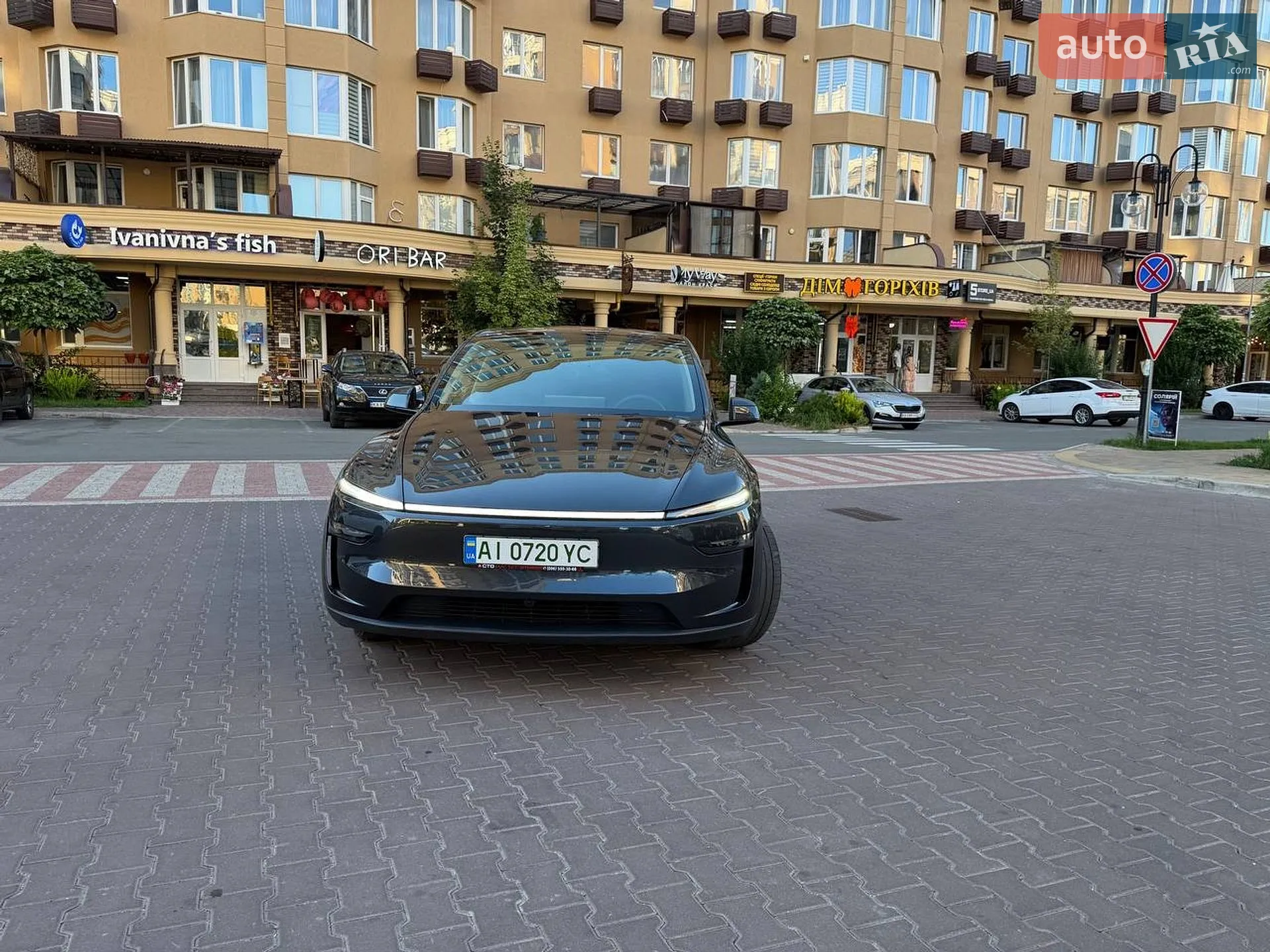 2025 Tesla Model Y - мініатюра 95